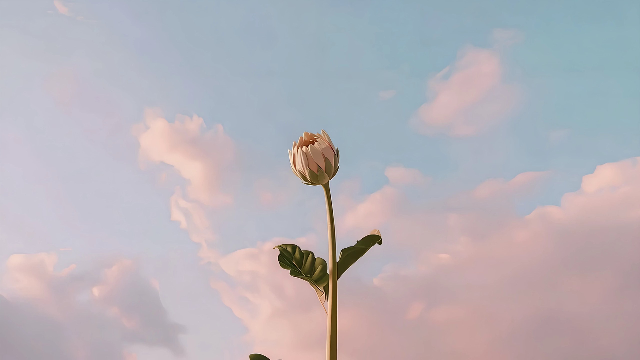 The home page's opening plate: the bloom against a dawn sky.